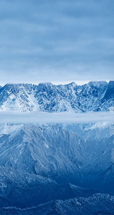 关于凯发一触即发